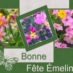 J - BONNE FETE EMELINE.jpg