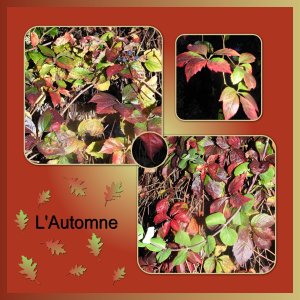 J-s288 - L'AUTOMNE.jpg