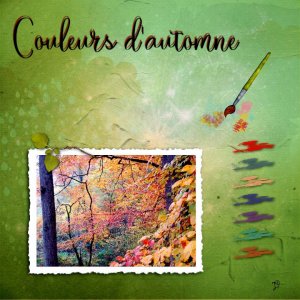 couleurs d'automne.jpg