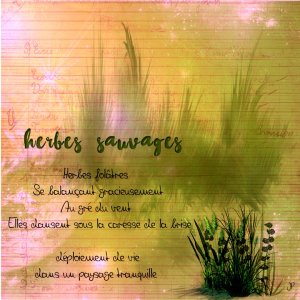 herbes folatres.jpg