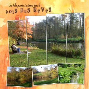 bois des rêves.jpg