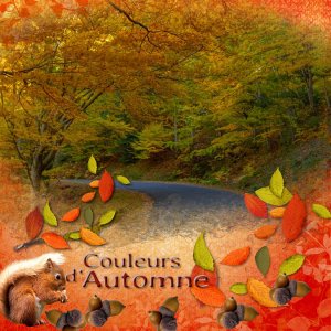 couleurs d'automne au néoulous .jpg