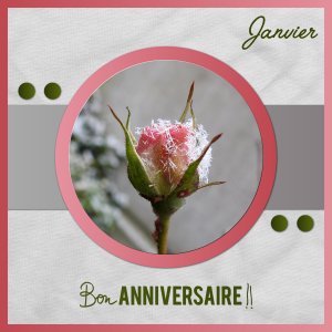 J-a13 - BON ANNIVERSAIRE.jpg