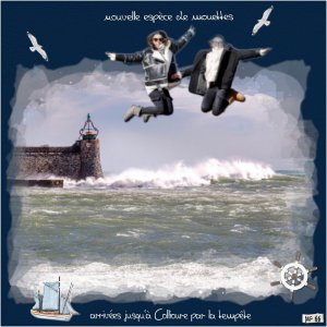 les mouettes à Collioure tempête mars 2017.jpg