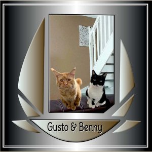 Gusto et Benny.jpg