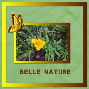 J-n94 - BELLE NATURE.jpg