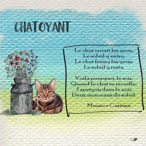 chatoyant.jpg