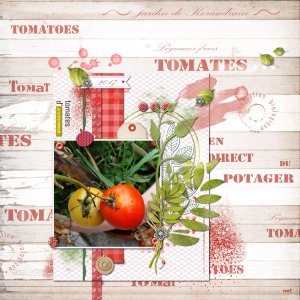 tomates de keraudrain.jpg