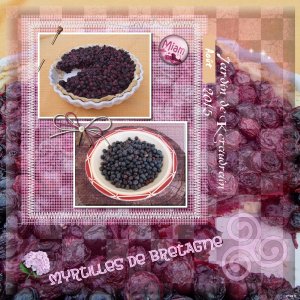 tarte aux myrtilles.jpg