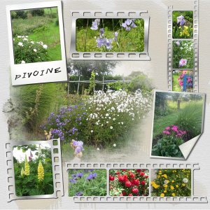 au jardin.jpg