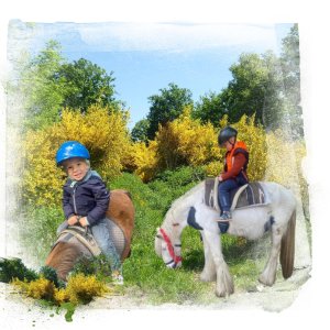cheval.jpg