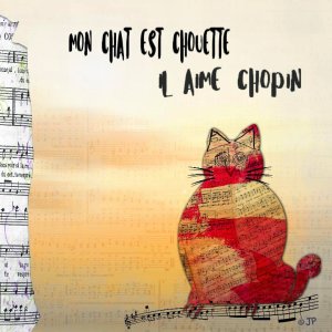 mon chat est chouette.jpg