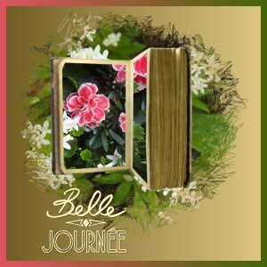 J - BELLE JOURNEE.jpg
