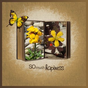 J-n155 - SO MUCH HAPINESS.jpg