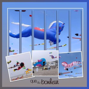 J - QUE DU BONHEUR.jpg