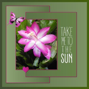 J - TAKE ME TO THE SUN.jpg