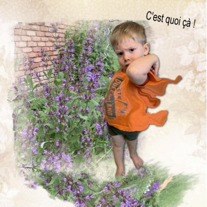 c'est quoi çà ?