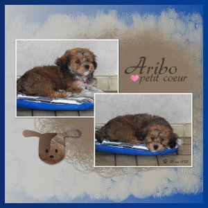 J-A15 - ARIBO PETIT COEUR.jpg