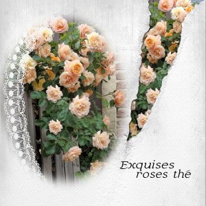 Roses.jpg
