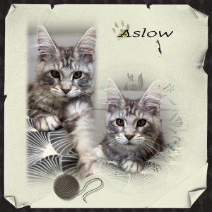 Aslow.jpg