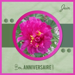 J-a19 - BON ANNIVERSAIRE.jpg