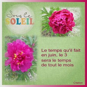 J - SOUS LE SOLEIL.jpg
