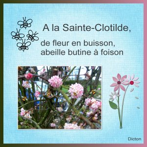 J - A LA SAINTE-CLOTILDE .jpg