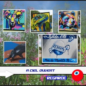 photos argeles .jpg
