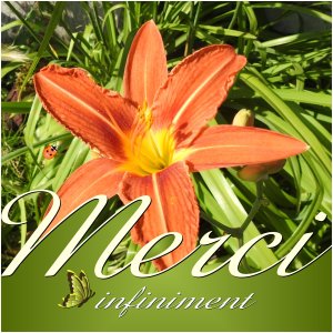 J - MERCI INFINIMENT.jpg