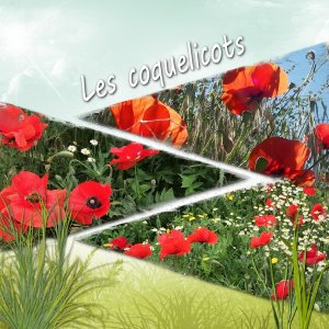 couleurs été