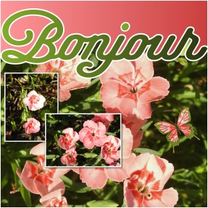 J - BONJOUR.jpg