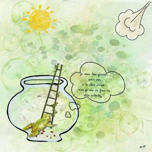 la grenouille et la pluie.jpg