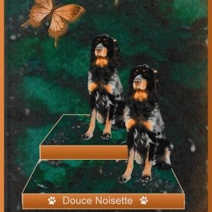 J-A17 - DOUCE NOISETTE.jpg
