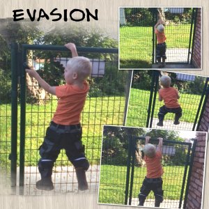 évasion.jpg