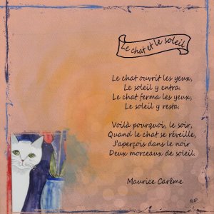 le chat et le soleil_08-07-25.jpg