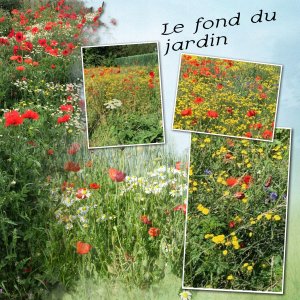 le fond du jardin.jpg