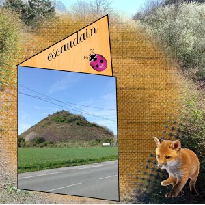 escaudain le renard 2.jpg