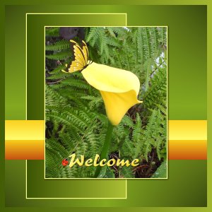 J - WELCOME.jpg