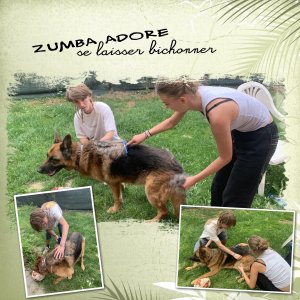 Zumba.jpg