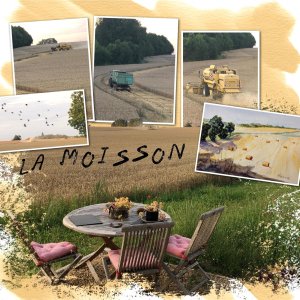 la moisson.jpg