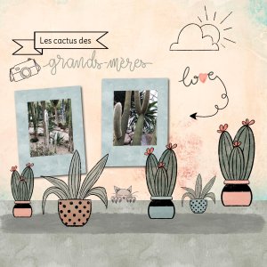 moyson-les-cactus.jpg