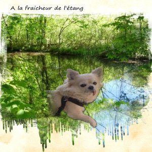 fraicheur.jpg