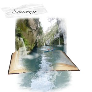 souvenir.jpg