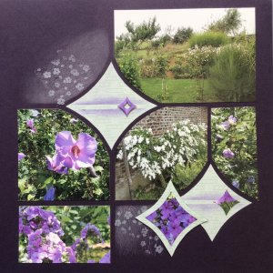 Le jardin