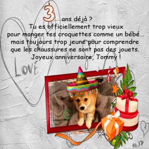 3 ans tommy16-08-25.jpg
