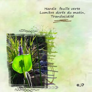 hardie feuille.jpg