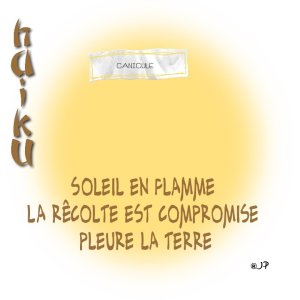 haiku nocturnes ☺