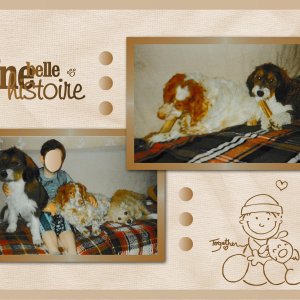 J - UNE BELLE HISTOIRE .jpg