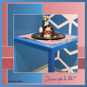 J - DES REVES PLEIN LA TETE.jpg