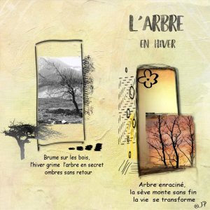 l'arbre .jpg